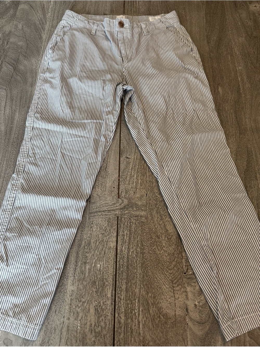 GAP Women’s Blue and White Striped Chino Pants